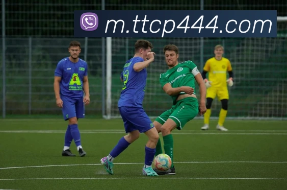 天天彩票官方网站服务体系